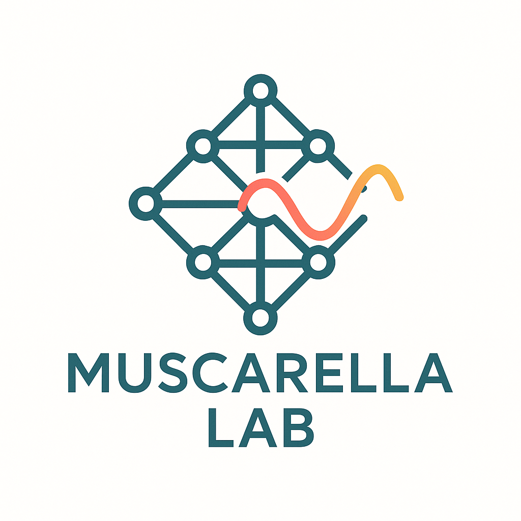 From Structure to Light Response in Functional Materials