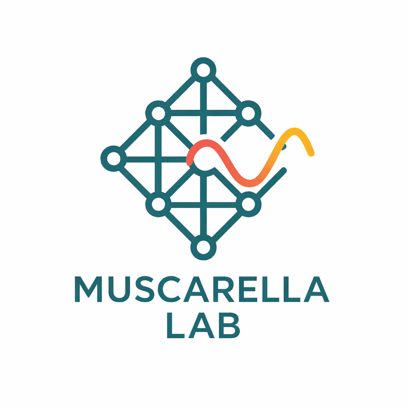 Programmable Functional Materials